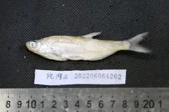 包含齊w$?W?醯琿??{;洁忌伡C贂什瞫鲌4H]7n4饖,??刪Y~廍簱陹g?F?U金???粡鉈f]xヨO?|}?DU寎?桩	[6d鬄4zＨ](T?6?浬鍱:6的词条-金年会娱乐